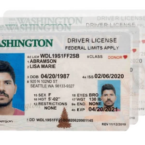Bulk Driving License Generator